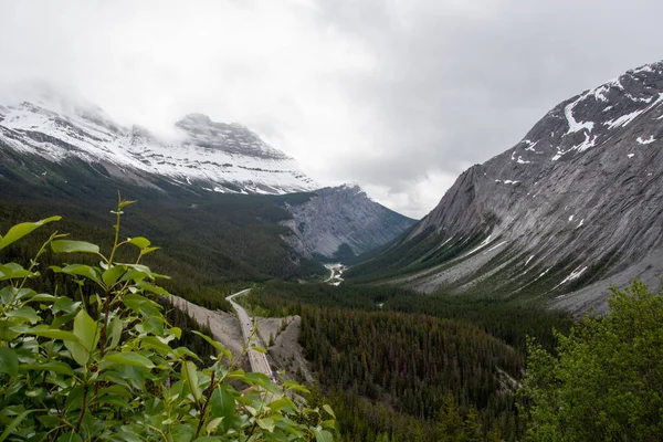 Una Foto Montaña Cirrus Big Hill Parque Nacional Banff Canadá —  Fotos de Stock