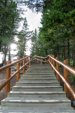 Bakış açısına giden bir merdiven. Banff Ulusal Parkı AB Kanada    