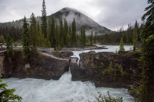 Bild Natural Bridge Grumlig Morgon Yoho Nationalpark Kanada — Stockfoto