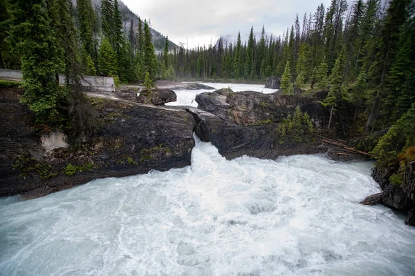 Bild Natural Bridge Grumlig Morgon Yoho Nationalpark Kanada — Stockfoto