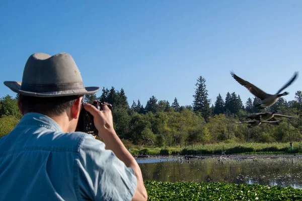 Birkaç kuşun fotoğrafını çeken şapkalı ve güneş gözlüklü Asyalı bir adamın omuz üstünden çekimi. Vancouver BC Kanada