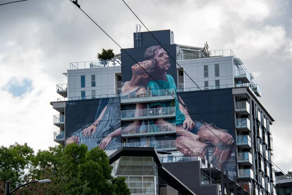 住宅の片側を覆う巨大な壁画の写真 タイトル Fintan Magee Aus 2020年8月22日 — ストック写真