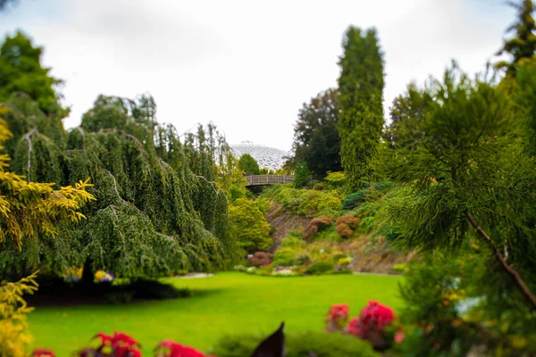 Biraz çiçek, bir çimen ve uzaktaki cam kubbeli bir bina. Eğimli kayma etkisiyle çekilmiş. Vancouver BC Kanada