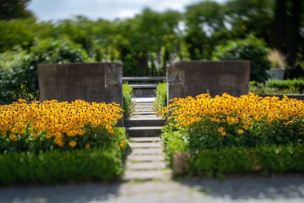 Una Imagen Jardín Una Ruta Tomada Usando Efecto Cambio Inclinación — Foto de Stock