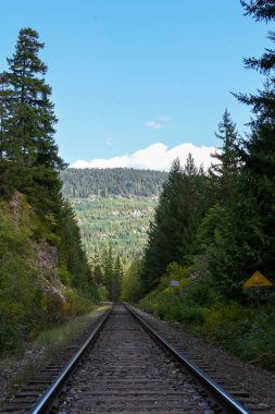Ormanın içinden geçen bir tren yolu. BC Kanada