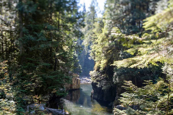 Una Foto Del Canyon Scattata Usando Effetto Tilt Shift Vancouver — Foto Stock