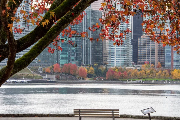 Ein Bild Einer Bank Meer Der Herbstszene Vancouver Kanada — Stockfoto