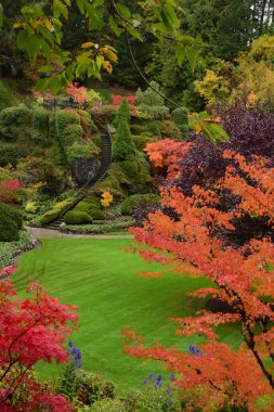 Sonbahar renginde, bakımlı bir bahçe resmi. Victoria BC Kanada