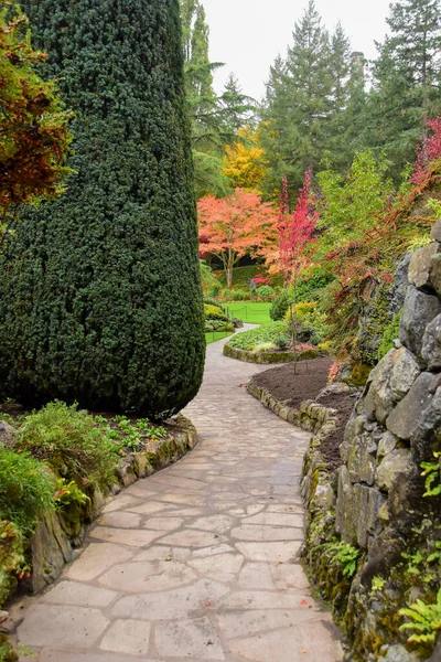 Зображення Добре Доглянутого Саду Стежки Восени Вікторія Канади — стокове фото