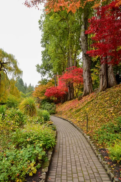 A picture of a well-tended garden and a pathway in autumn.   Victoria BC Canada