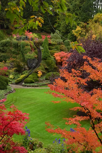 Une Image Jardin Bien Entretenu Avec Couleur Automne Victoria Canada — Photo