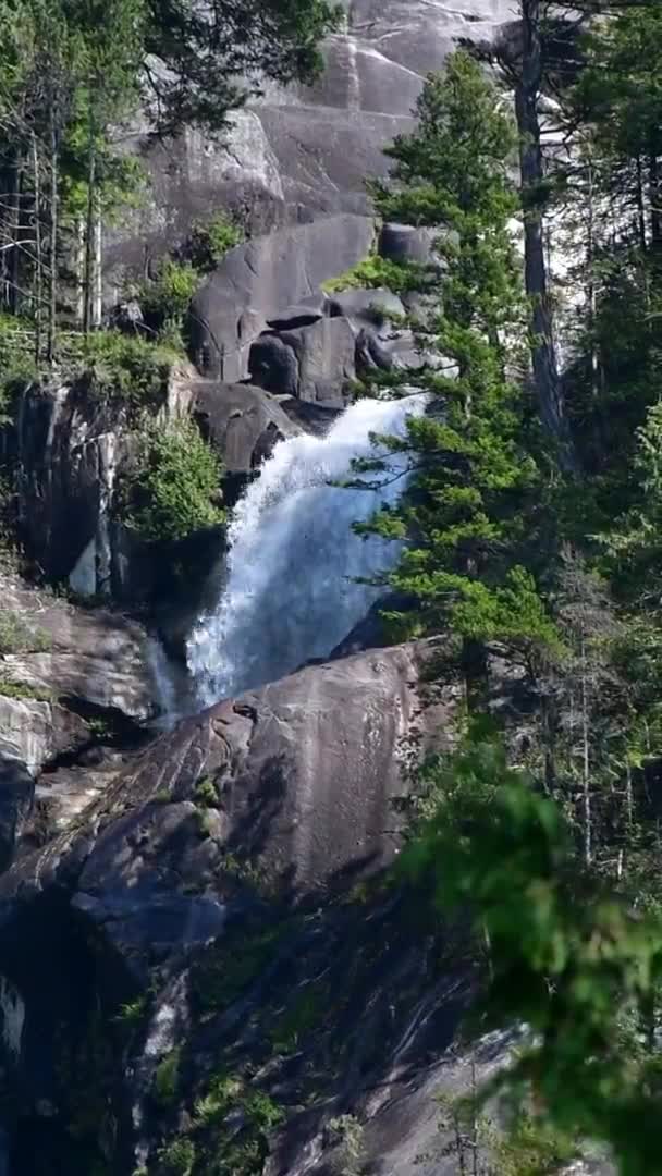 Film Shannon Falls Vertikal Ver Närbild Squamish Kanada — Stockvideo