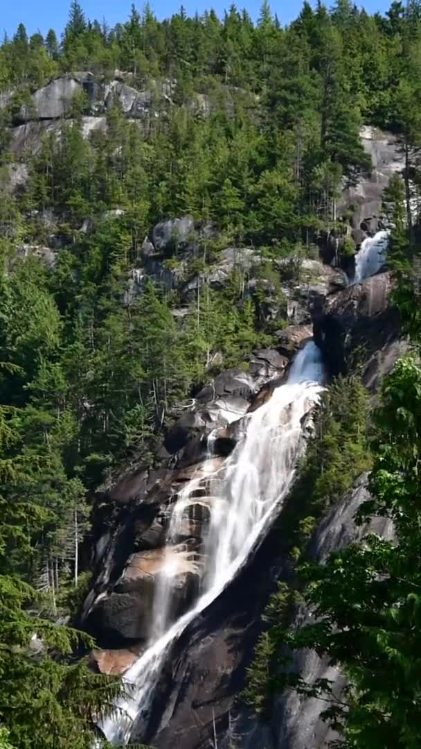 Een Film Van Shannon Falls Verticaal Ver Middelgrote Squamish Canada — Stockvideo