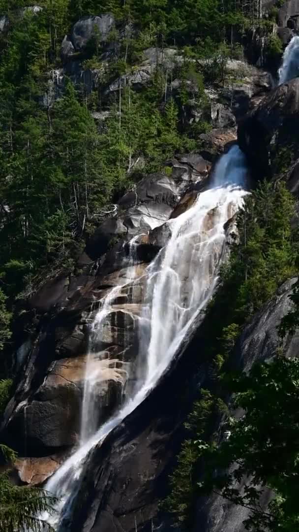 Shannon Falls Filmi Dikey Ver Küçük Boy Squamish Kanada — Stok video