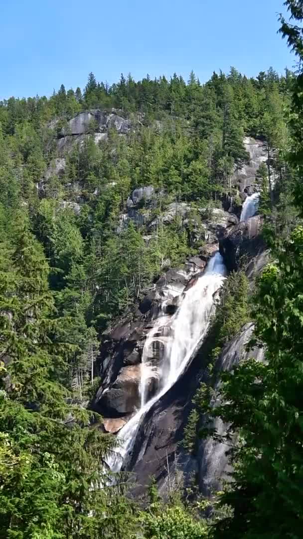 Movie Shannon Falls Vertical Ver Large Size Squamish Canada — Stock Video