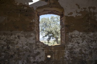 Saceruela Havaalanı kalır. Harap İmkanları. İspanyol iç savaşı 1936-1939, Ciudad Real, İspanya