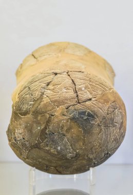 Badajoz, İspanya - 29 Ocak 2011: Bell kabı Las Pijotillas sitesinden, Solana de los Barros. Badajoz Arkeoloji Müzesi