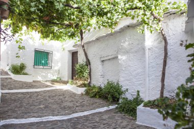 Asma arbor, Alpujarras, Granada, İspanya tarafından örtülü bir sokak eğimli 