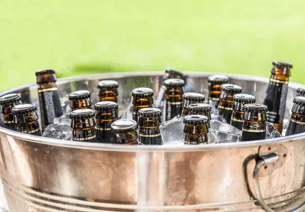 Beer bottles on ice bucket with green grass background. Closeup
