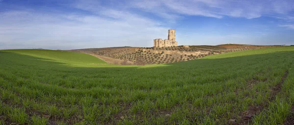 Castillo Belalcazar Campo Cereales Verdes Córdoba España Con Torre Más —  Fotos de Stock