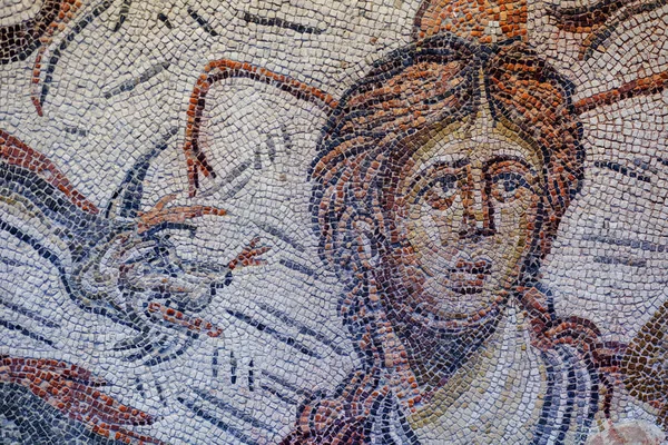 Jaen Spain December 29Th 2017 Roman Mosaic Depicting Sea Goddess — Stock Photo, Image