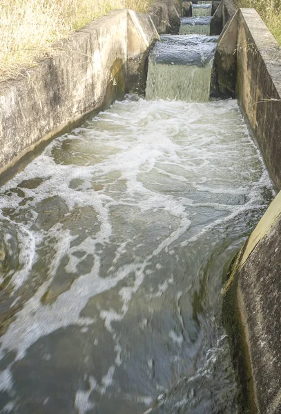 Chutes Eau Bordées Béton Canal Irrigation Basses Terres Guadiana Vegas — Photo