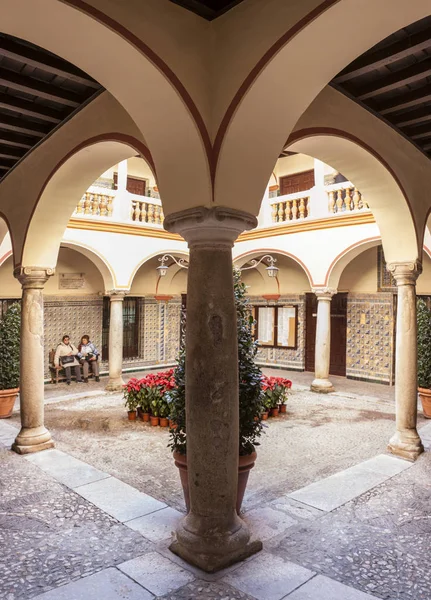 Almendralejo España Enero 2018 Edificio Del Ayuntamiento Antiguo Palacio Monsalud — Foto de Stock