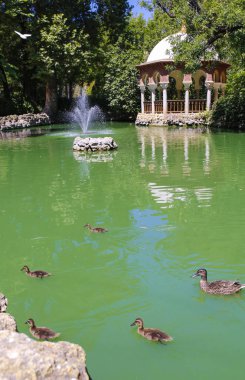 Sevilla, İspanya - 7 Temmuz 2018: Maria Luisa Park Su birikintisi, Sevilla, Endülüs, İspanya. Romantik köşk