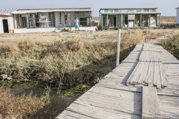 Chovatelé Poštovní Holub Lofty Španělsko Portugalských Hranic Vila Real Santo — Stock fotografie