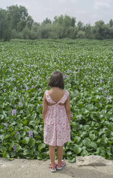 Dítě Dívka Nad Invazivní Vodní Hyacint Přičemž Průběhu Celé Řeky — Stock fotografie