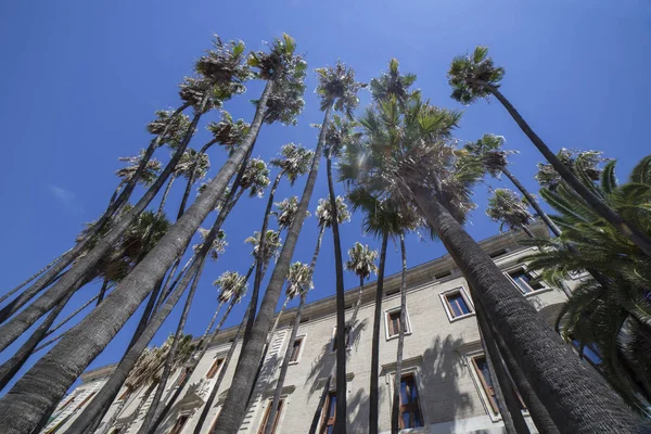 Palácio Aduana Málaga Espanha Buidling Atualmente Para Museu Permanente Entrada — Fotografia de Stock