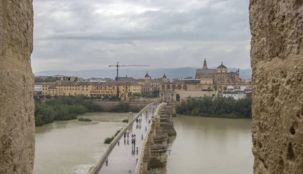 Cordoba Bron Och Moskén Från Calahorra Tornet Batlements Regnig Dag — Stockfoto