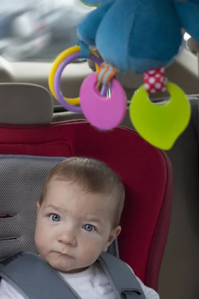 Baby Boy Sitting Child Car Seat Rattle Hanging Ceiling Watching — Stock Photo, Image