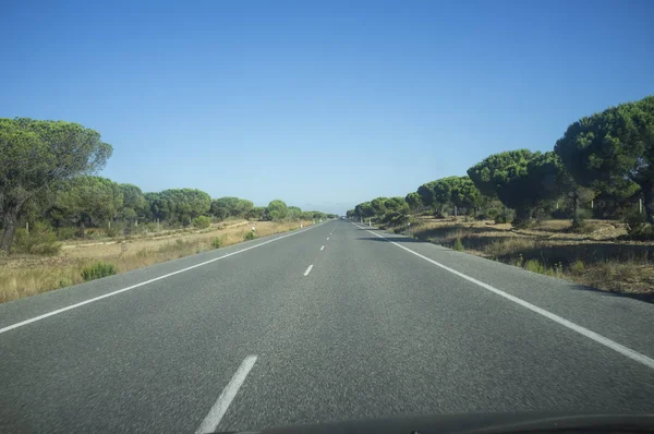 Křížení Doñana Přírodní Park 442 Silniční Španělsko Nebezpečné Silnice Protože — Stock fotografie