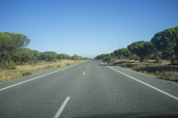 Cruzando Donana Natural Park Por 442 Estrada Espanha Estrada Perigosa — Fotografia de Stock