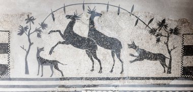Merida, İspanya - 4 Eylül 2018: Av sahne mozaik köpekler ve geyikler. Ulusal Müzesi Roma sanat Merida, İspanya