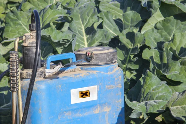 ブロッコリー フィールドでバックパック燻蒸スプレー 農薬アプリケーション概念の負の影響 — ストック写真