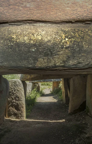 Lézards Sur Pierre Tombale Dolmen Lacara Ancien Bâtiment Mégalithique Près — Photo