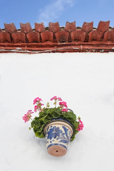 Arabic Red Tiled Rooftop Geranium Flowerpot Alfarnatejo White Village Malaga — Stock Photo, Image