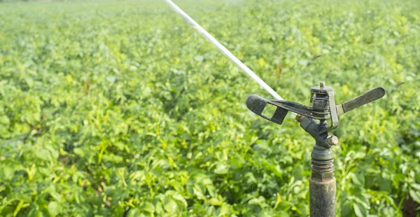 Full Circle Impact Sprinkler Work Green Field Guadiana Meadows Extremadura — Stok Foto