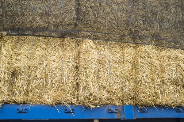 Schwerer Sattelzug Beladen Mit Strohballen Nahaufnahme — Stockfoto