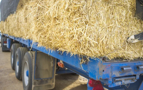 Schwerer Sattelzug Beladen Mit Strohballen Nahaufnahme — Stockfoto