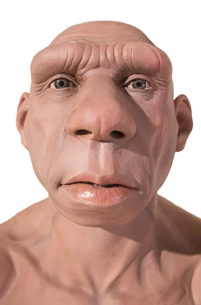 Lebensgroße Neandertaler-Büste. vorne — Stockfoto