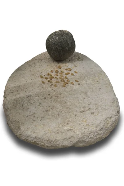Neolithic simple mill stone with wheat grains — Stock Photo, Image
