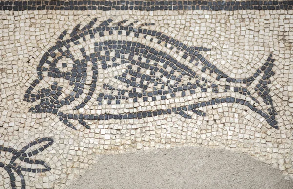 Baritto pond mosaic depicting dolphins and breams — Stock Photo, Image