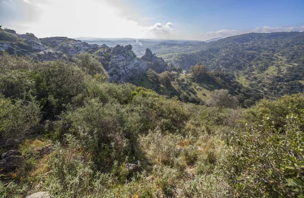 Rezerwat przyrody Los Alcornocales, Kadyks, Hiszpania — Zdjęcie stockowe