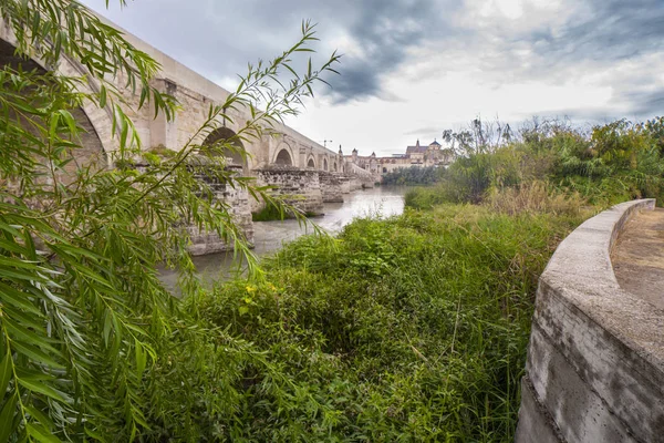 Guadalquivir Nehri'nin sol banka sazlıklarından Roma köprüsü, — Stok fotoğraf