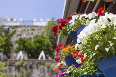 Duvar ekli mavi saksıdolu, Cordoba, İspanya