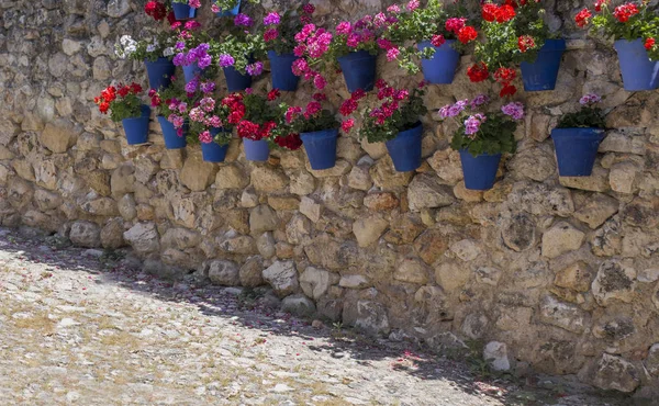 Parede de rocha cheia de vasos de flores azuis anexados — Fotografia de Stock