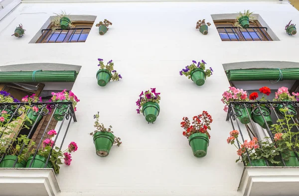 Ház homlokzata tele zöld virágcserepek — Stock Fotó